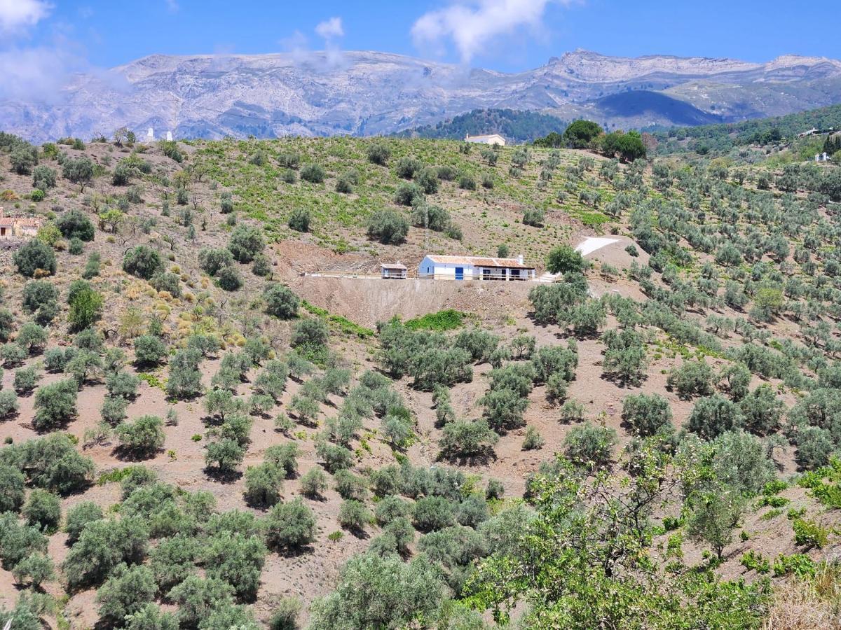 Villa Gabriel Canillas de Albaida Kültér fotó